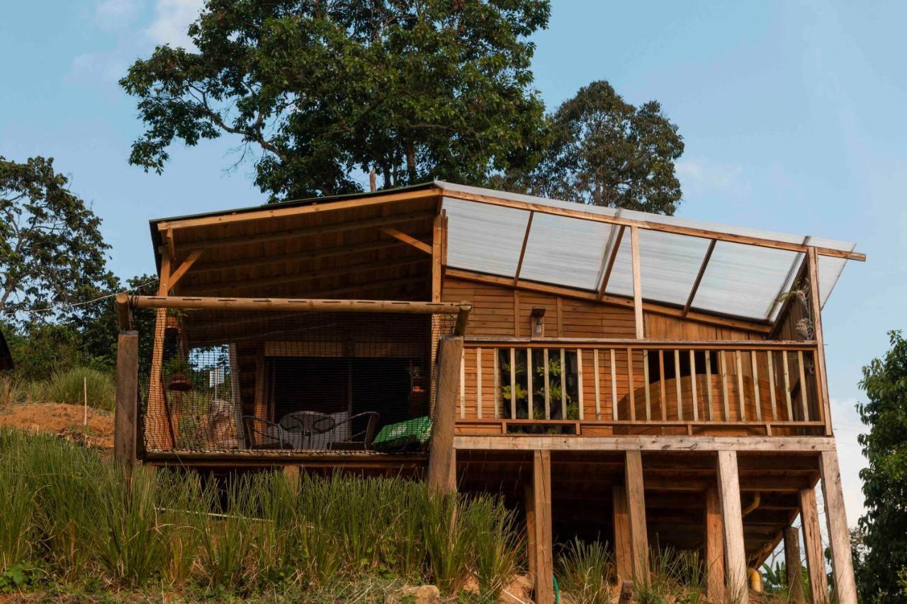 Cottage with Garden View,1169294893:JPEG